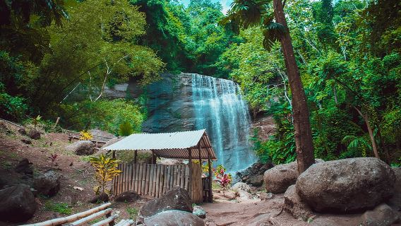 Half Day Tour - Popular Sites in Grenada, Forest Reserve,Spice Market,Waterfalls