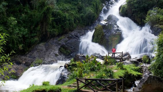 From Medellín: El Retiro Private Tour with Food Tastings