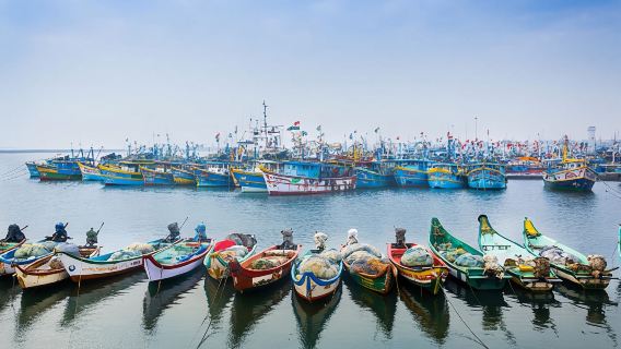 Chennai Cultural Day Tour with Mahabalipuram Drop
