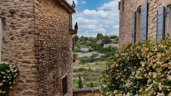 Desde Marsella: tour de día completo por el mercado y los pueblos de Luberon
