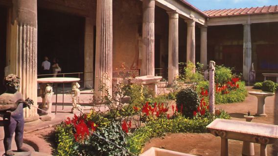 Naples and Pompeii: Half-Day Tour