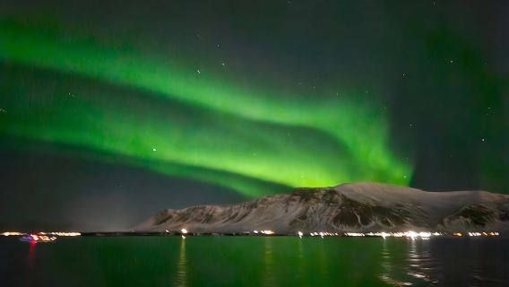 Reykjavík: Du thuyền ngắm Bắc Cực Quang