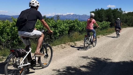 Barcelone : visite autoguidée du Penedès en vélo électrique avec dégustation de vins