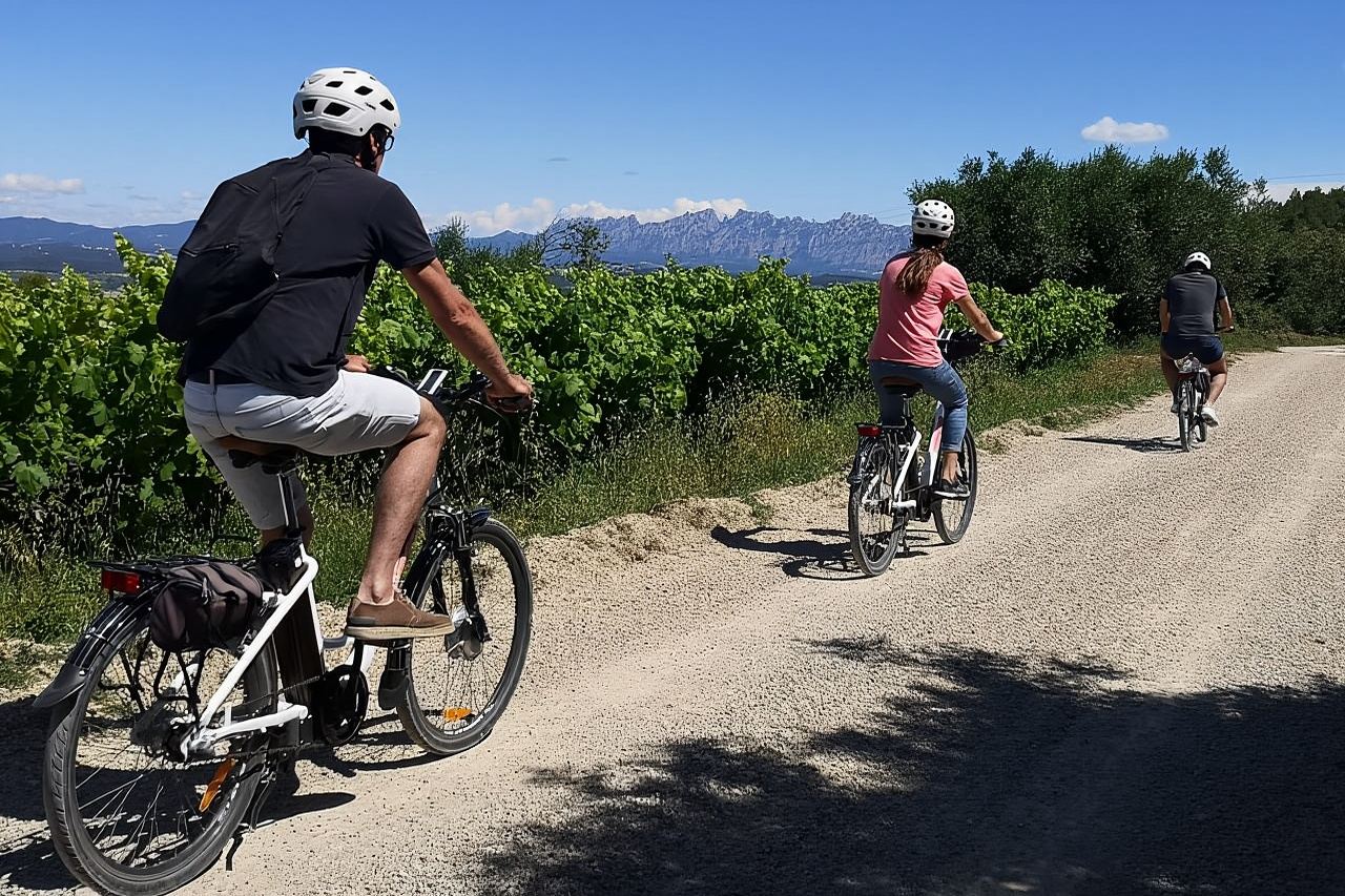 Barcelona: Penedès Self-Guided eBike Tour with Wine Tasting