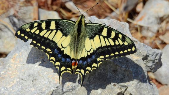 Mistra-Tal und Selmun – Private Naturtour mit Transport