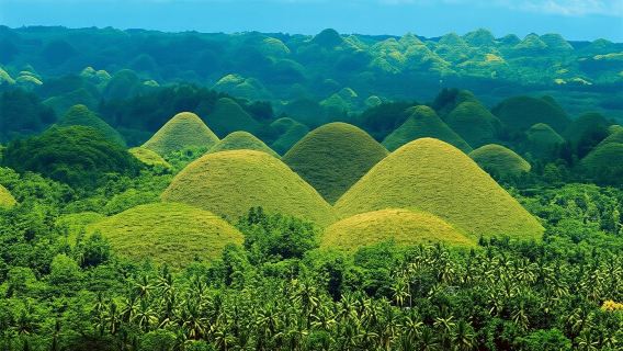 Desde Bohol: tour de día completo por el campo