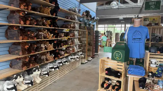 Kamloops: ตั๋วเข้าชมอุทยานสัตว์ป่าบริติชโคลัมเบีย