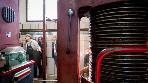Umbrien: Führung durch eine traditionelle Ölmühle + Verkostung
