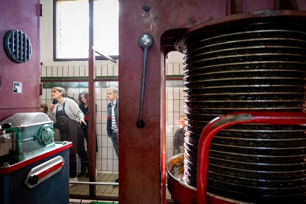Umbria: guided tour to traditional oil mill + tasting