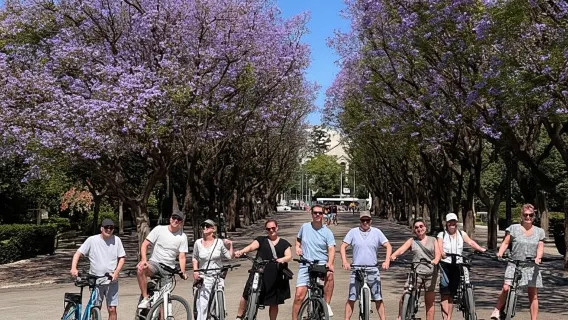 Atene storica: tour in bicicletta elettrica per piccoli gruppi