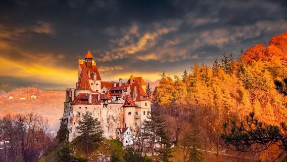 Bucarest: Excursión de un día al Castillo de Drácula, al Castillo de Peles y a Braşov
