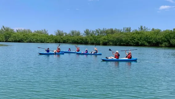 Miami: Noleggio di Paddle Board o Kayak a Virginia Key