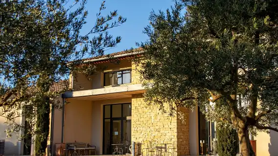 Self tour of the olive oil mill & olive oil tasting