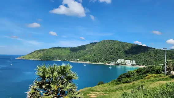 普吉島城市之旅（含夜市參觀和大象餵食）