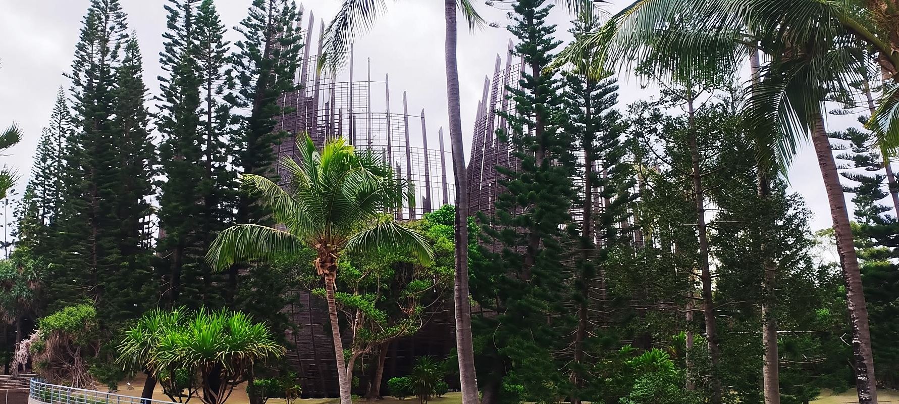 Recorrido por el campo (2h30)