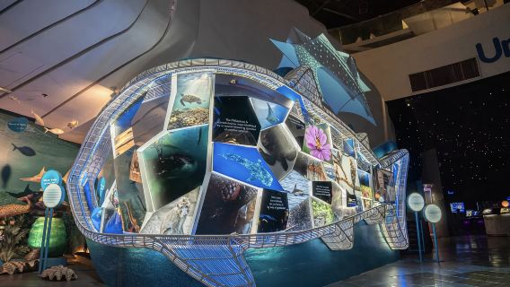 พิพิธภัณฑ์วิทยาศาสตร์เมืองแทกวิก