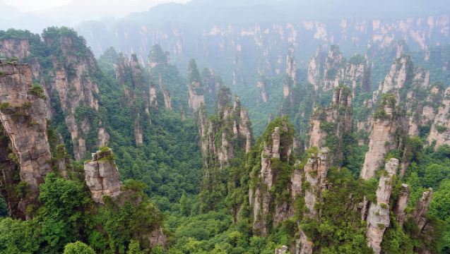 Hunan Province - Changsha, Zhangjiajie, Jishou, Yueyang, Hengyang | Multilingual professional guides | Conference interpretation | Business inspection interpretation | Customized travel private charter | Airport pick-up/drop-off