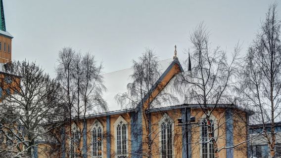 挪威特羅姆瑟北極教堂+纜車+狗拉雪橇【中文司機+可包車可共乘】