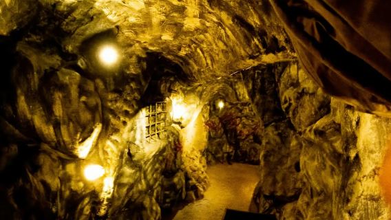 De Arusha/Manyara: Passeio pela Experiência da Tanzanita no Museu de Manyara