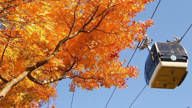 箱根大涌谷+富士山山中湖一日遊【9人小團|可選酒店接送/箱根水陸巴士|中文服務|純玩無購物】