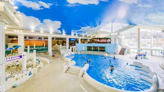 Tokyo|Yunohana Onsen Resort + Kuil Hakone + Torii Keamanan|Perjalanan sewaan peribadi boleh disesuaikan