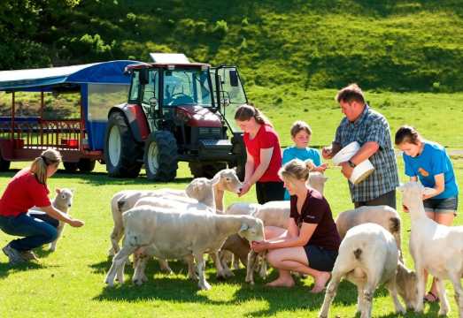 Agrodome Farm Experience in Rotorua, North Island, New Zealand [Optional Sheep Show/Farm Tour]