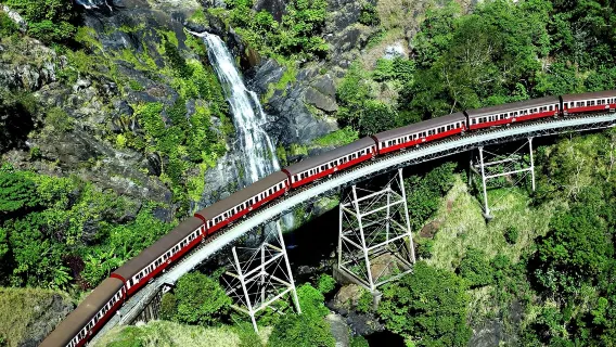 Excursion à la journée en téléphérique et train panoramique de Kuranda en Australie [Départ après le réveil avec transfert inclus]