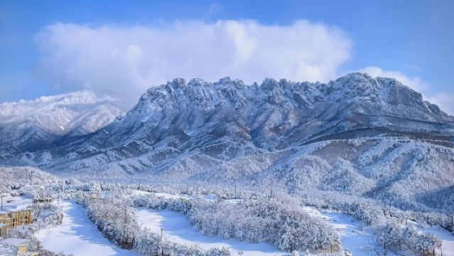 Penterjemah profesional Busan, Korea | Pemandu pelancong tempatan | Teman perniagaan | Penterjemah pameran | Lawatan bebas | Perancangan perjalanan tersuai