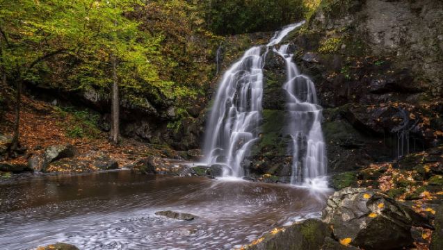 美國亞特蘭大-大煙山國家公園-12h【中文包車自由行】
