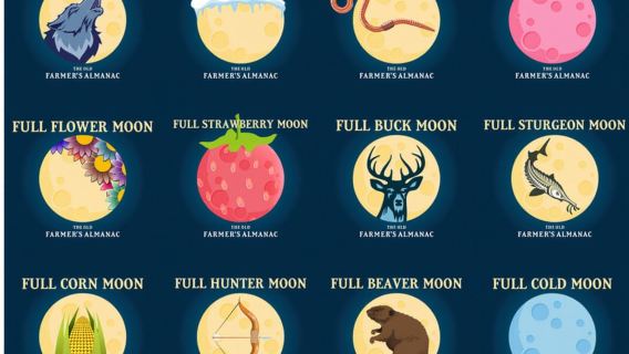 Murrells Inlet by Moonlight: Legends & Lores of the Inlet