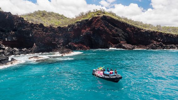 Kona Snorkeling: Beat the Crowd to Kealakekua Bay