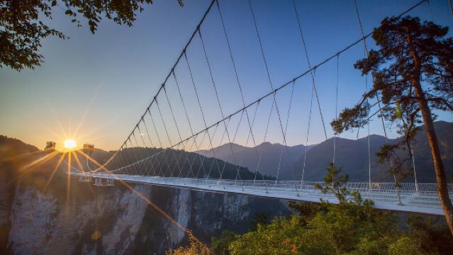 Zhangjiajie Private Guided 1-Day Tour Avatar Mountain Zhangjiajie Grand Canyon Glass Bridge Tianmen Mountain