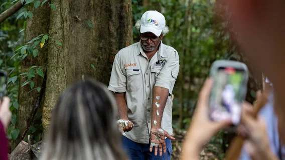 Cape Tribulation, Mossman Gorge, and Daintree Rainforest Day Trip