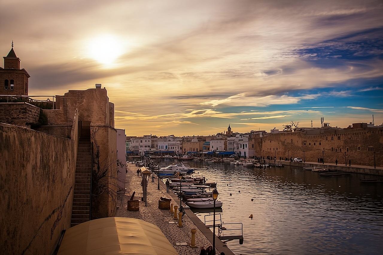 Gita epica di un giorno a Biserta, Capo Angela e Ichkeul, patrimonio dell'UNESCO, per osservare gli uccelli