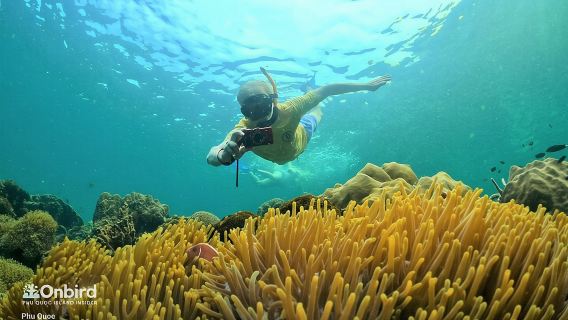 OnBird - PRIVATE ADVENTURE SNORKELING - explore Half-moon reef & Coral Mountain