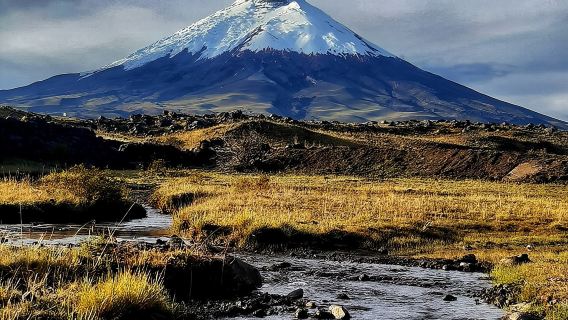Full-Day Cotopaxi National Park Horseback Ride hike for Beginners
