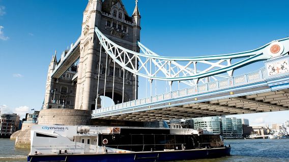 London 24 Hour River Pass tickets