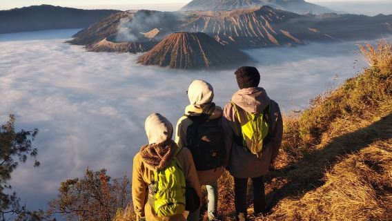 TosariTours