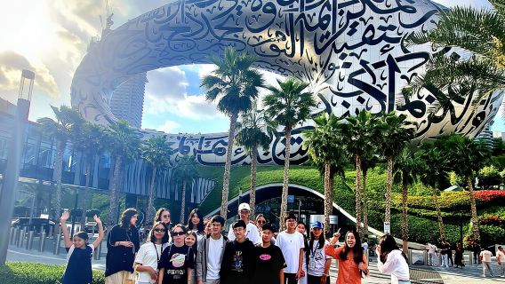 Tour panoramico di mezza giornata della città di Dubai con prelievo