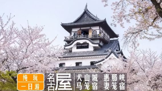 清須市日遊