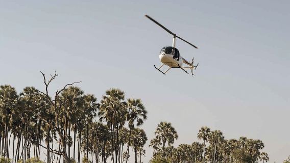 2.5-Hour Wilderness Adventure: Helicopter Sightseeing & Camp Cuisine
