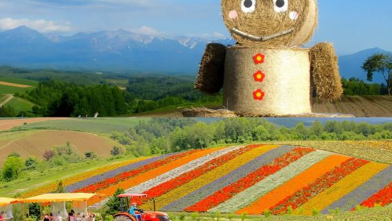 【日本北海道】富田農場＆四季彩之丘＆青池一日遊
