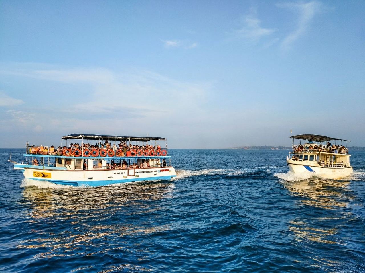 Whale Watching Tour in Mirissa, Sri Lanka|Boat Ticket Booking + Customized Itinerary with Optional Hotel Transfer