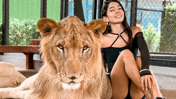 Phuket Lion Park: divertimento per famiglie, interazioni con i leoni e check-in con gli influencer