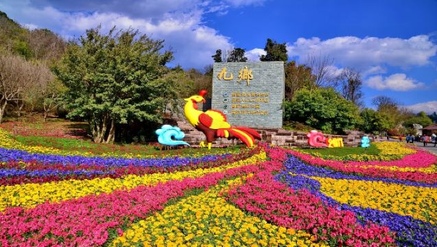 Kunming Jiuxiang Private Chartered Tour | Exclusive Driver | No Rideshare | Door-to-Door Service Direct to Attraction