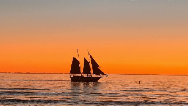Suncoast Sailing's Sunset Sailing Experience!