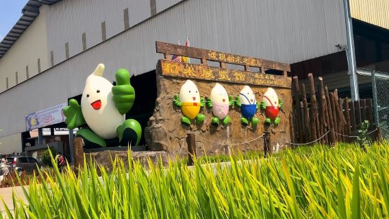 Sekinchan Reisfelder & Fischerdorf ab Kuala Lumpur (Gemeinschaftstour)