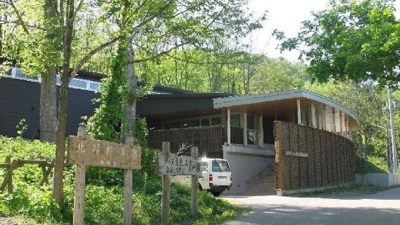 日本北海道+旭川+白鬚瀑布+青池一日遊/行程可調-可定制多日