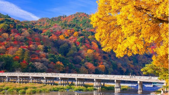 京都三千院嵐山一日遊【嵯峨野火車,竹林步道,天龍寺,渡月橋】