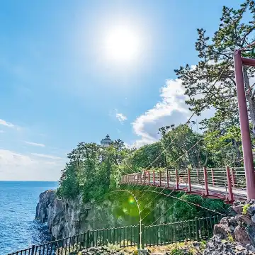 Japan Tokyo Izu 1-day tour: Mt. Omuro + zoo + scenic train